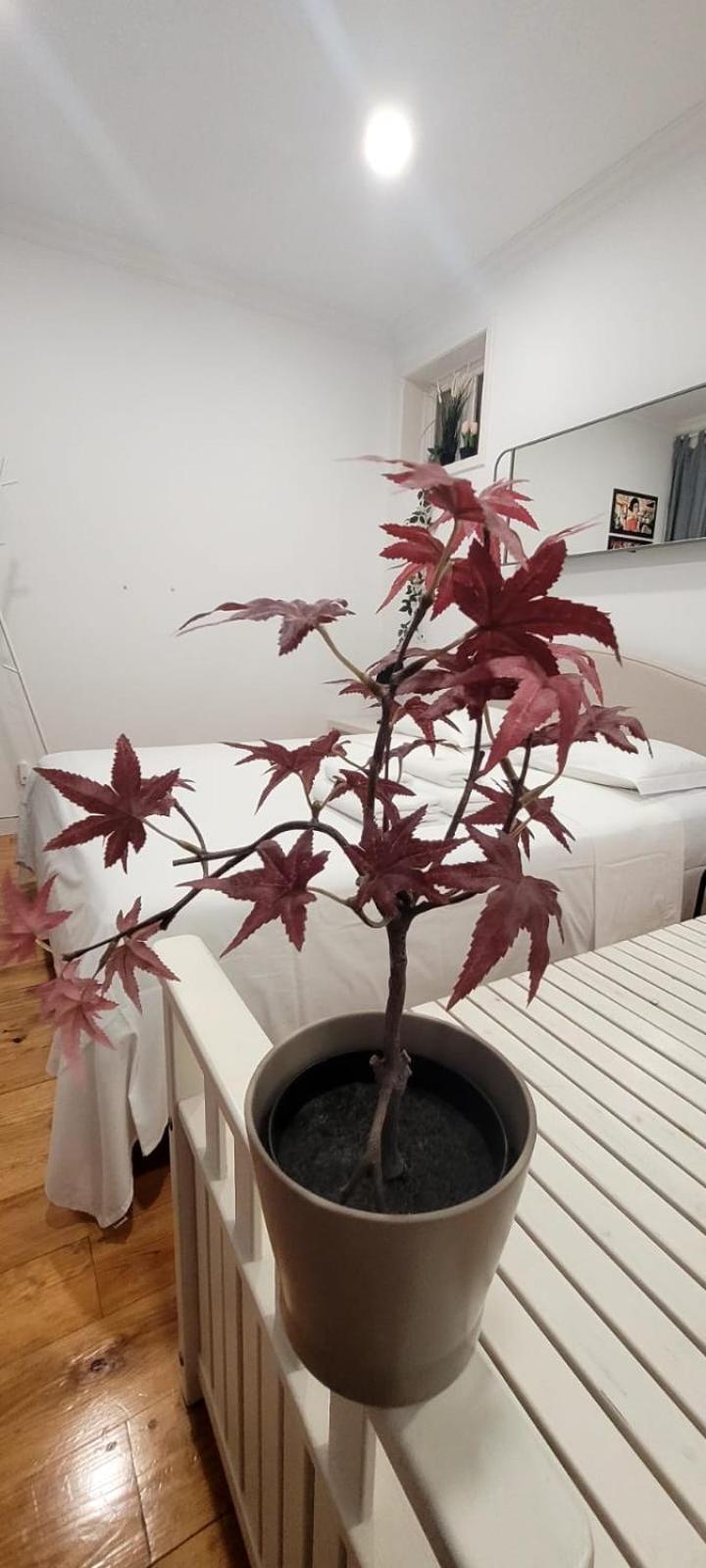 Varanda Privada Iroom 리스본 외부 사진
