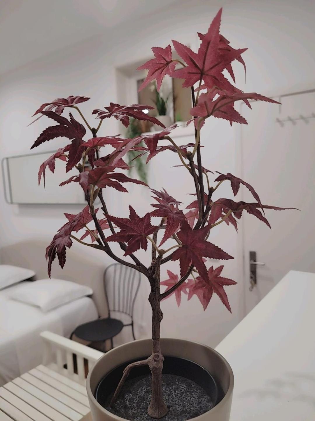 Varanda Privada Iroom 리스본 외부 사진