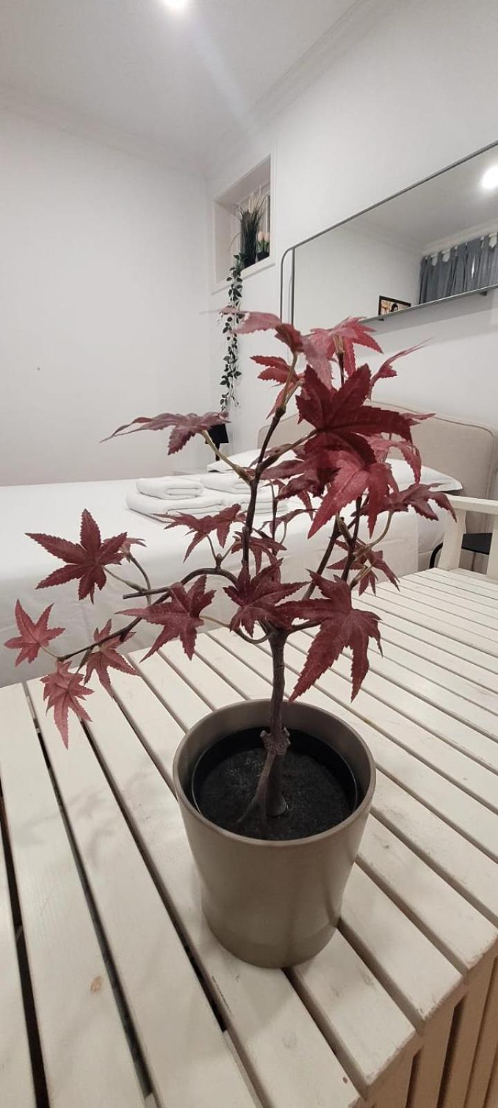 Varanda Privada Iroom 리스본 외부 사진