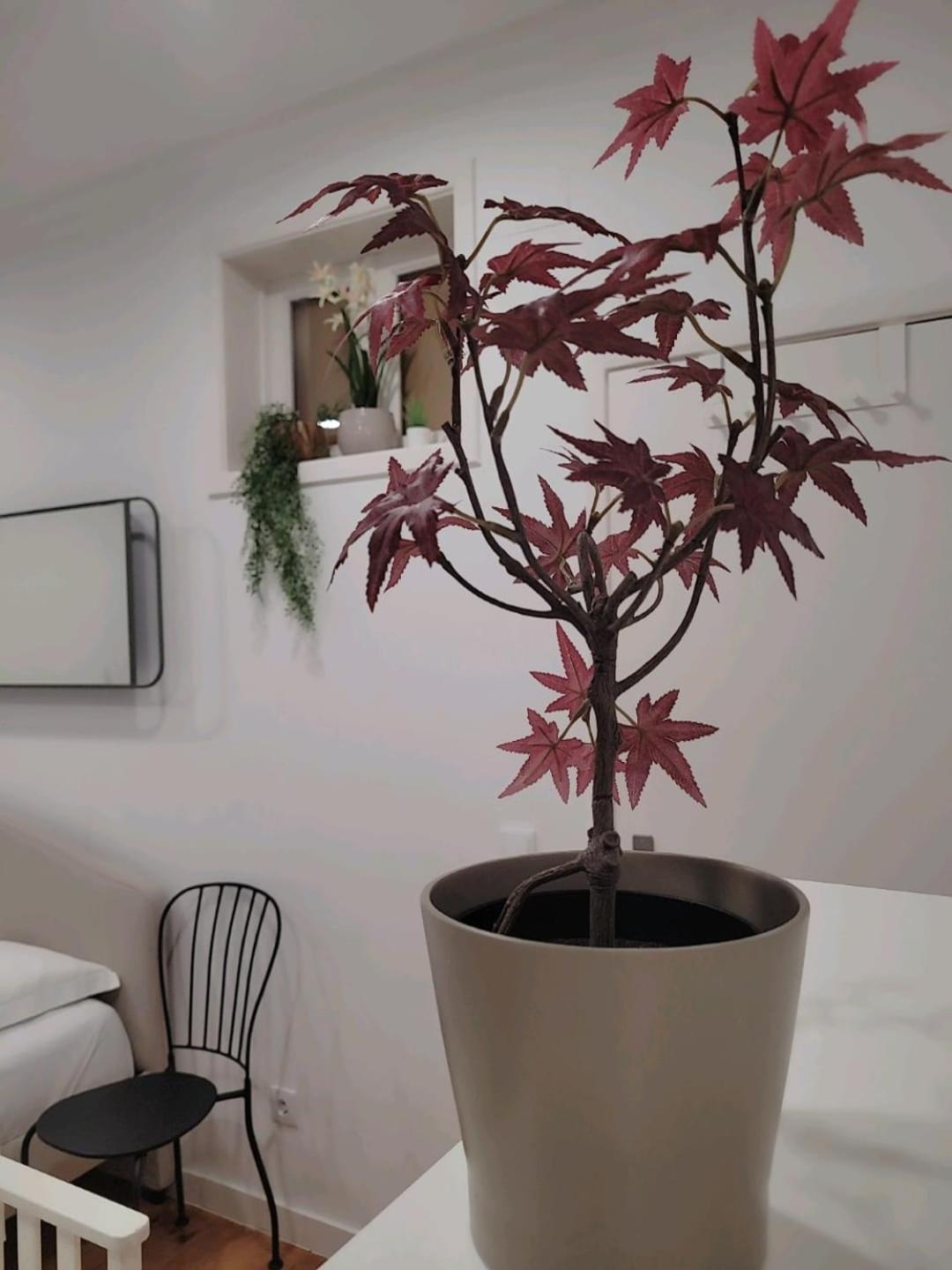 Varanda Privada Iroom 리스본 외부 사진